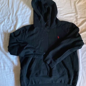 Polo Ralph Lauren Hoodie  - Storelk junior L 