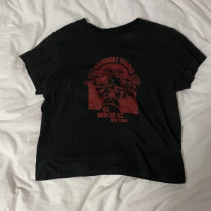 tshirt  - Jättefin T-shirt från brandy Melville. Säljer då jag inte har någon användning av den längre. Storleken är one size men jag skulle säga att den sitter som en S. 