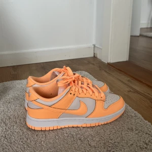 Nike dunks  - Jätte fina Nike dunks som aldrig är andvända, nyskick