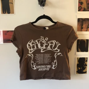 brun croppad t-shirt  - jättesöt brun t-shirt från hm! nyskick