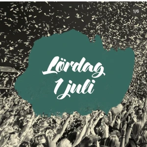 CITY FESTIVALEN LÖRDAG - hej!!! Är ej 100% om jag går lördag dagen, letar nån som kan köpa för bra pris.  DOCK ; är det ej 110% att jag inte går , men om ett bra pris erbjud säljs den.