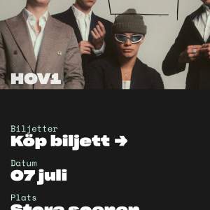 Säljer 7 st biljetter till Hov1 konserten i Karlstad! åldersgräns på 18+.. Konserten äger rum den Fredagen den 7/7-2023.. Per biljett: 400 kr. Betalning sker via swish. 
