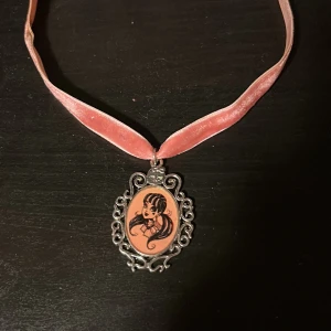 Halsband - Rosa Draculaura halsband från monster high💗 Själva bandet är i rosa velour och sedan en stängning där bak. Den enda defekten som finns kan ses på bild 3 vilket är ett litet märke från att berlocken har skavit.