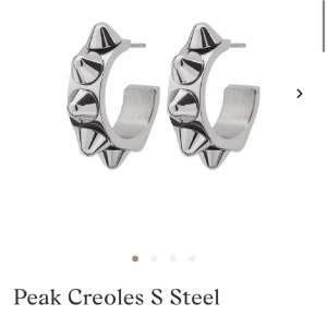 Edblad örhängen - Snygga örhänge med nitar från Edblad, som inte kommer till användning!💗