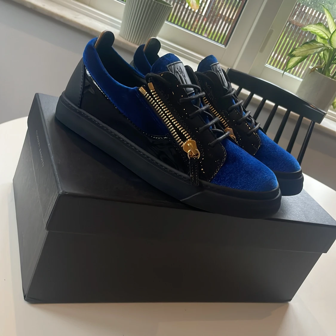 Giuseppe zanotti