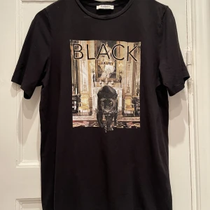 Svart T-shirt  - Skön t-shirt, använda några gånger 