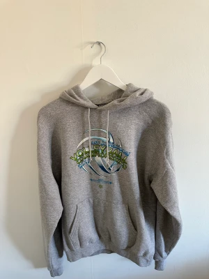 Vintage champion hoodie - Vintage champion hooodie, storlek M, pris 200kr, se bilder för skick