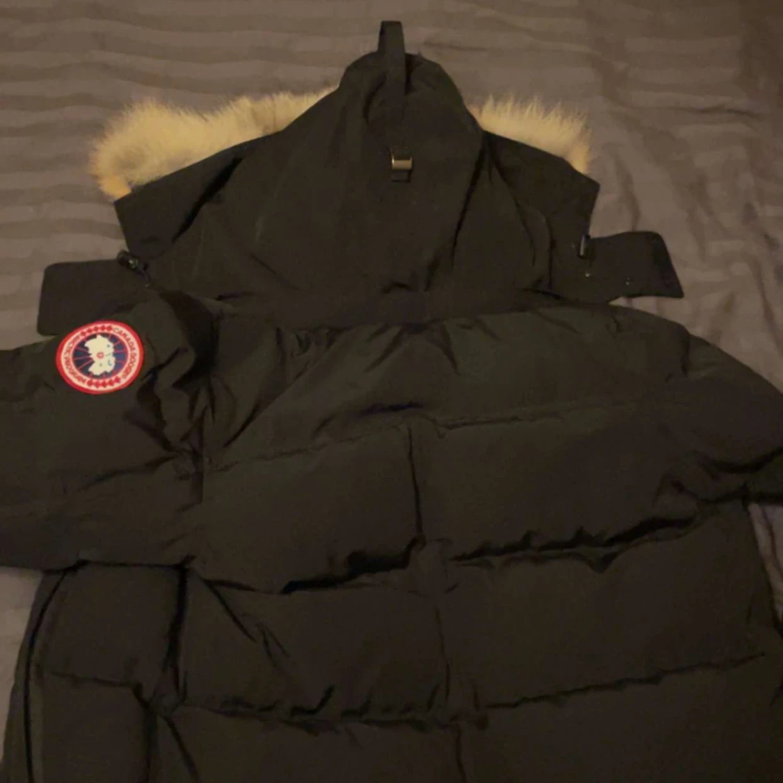 Canada goose wyndham - 91