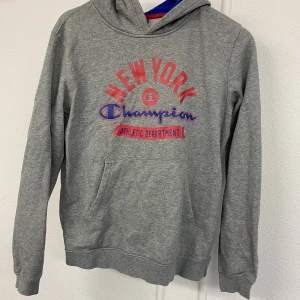 Champions hoddie - Fint skick