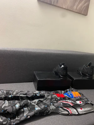 Bapes and Jordans4  - Den helt ny dm för diskussion och storlek och dm för priset av Bape