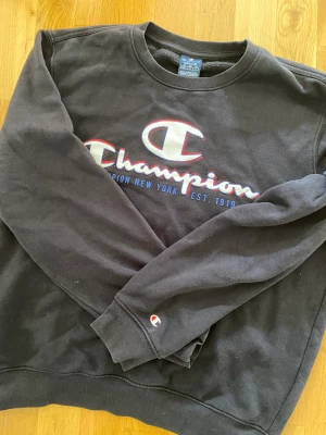 Vintage champion sweatshirt  - Vintage tröja i storlek M knappt använd