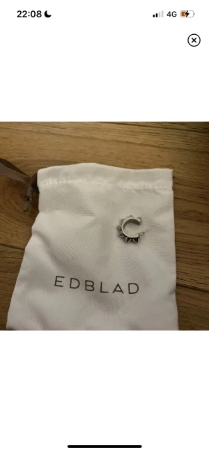 Edblad örhänge  - Jag tappade bort ena av mina Edblad örhänge och tänker nu sälja dom och ja har ocksp byt till guld smycken så kommer inte använda dom. Dom är rengjorda och är inte så använda. Köpte båda örhängerna för 400 alltså kostar en 200 men säljer ena för 125kr