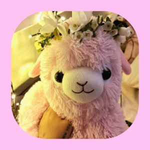 Äkta Baby Alpacasso  - Äkta Alpacasso i blomkransmodell, köpt från Japan! Älskar min stora gosis, varit jätterädd om den och bara haft på display! Söker nytt hem nu! 