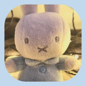 Liten Miffy Kanin  - Liten Miffy (Mollybaby) letar nytt hem! 😊