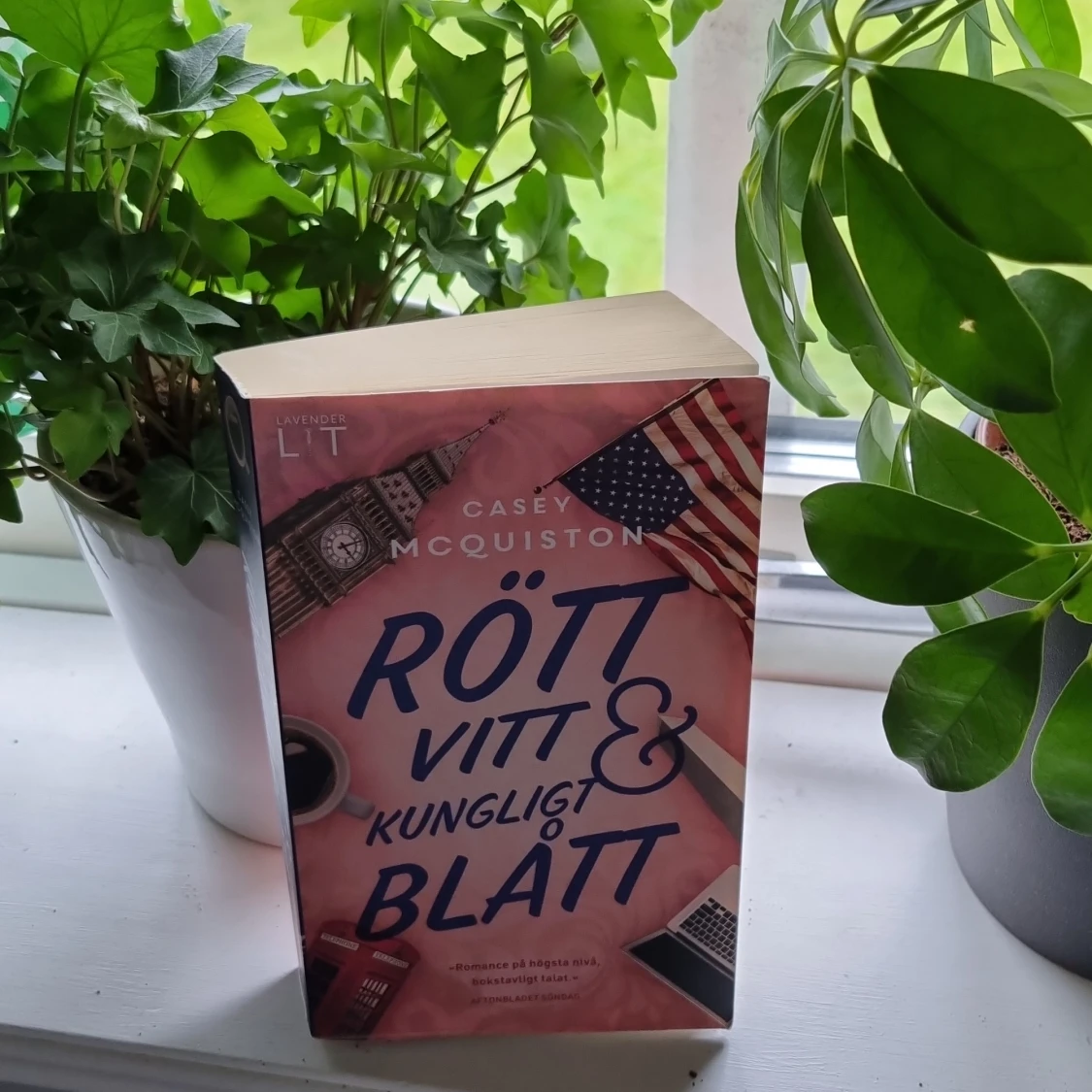 Rött vitt & kungligt blått👑🇺🇲