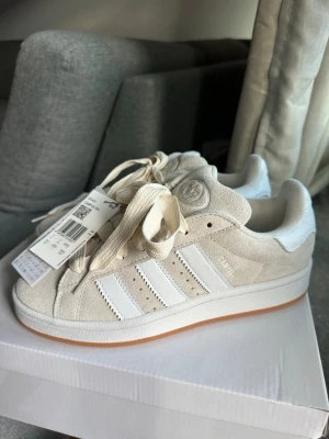 Campus 00s - Wonder White / Cloud White / Gum 