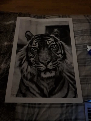 Svartvit tigerposter - Säljer en stor poster med ett svartvitt tryck av en tiger. Motivet är detaljerat och ger ett kraftfullt intryck, perfekt för att piffa upp väggen i sovrummet eller vardagsrummet. Tryckt på papper med vit kant runt motivet.