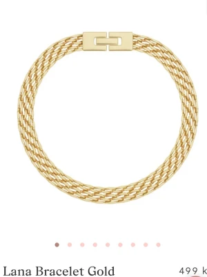 Guldarmband Lana flätad kedja - Stilrent armband i guldton med flätad kedja och rektangulärt spänne. Perfekt accessoar för att lyfta din look med en modern och elegant touch. Armbandet har en klassisk design som passar till många stilar. Helt ny med förpackning✨