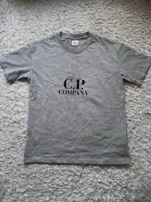Grå C.P. Company t-shirt - Snygg grå t-shirt från C.P. Company med svart tryck på bröstet. Klassisk passform och rund hals. Tillverkad i mjuk bomull, perfekt för en avslappnad stil. På baksidan finns ett stort tryck med en cool illustration av en person.