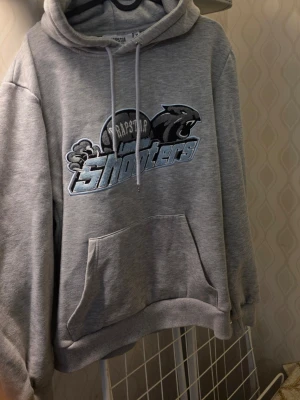 Grå hoodie Trapstar Shooters - Snygg grå hoodie från Trapstar med stor magficka och tryck framtill med texten 'Shooters' och en panter. Mjuk insida och dragsko i huvan. Perfekt för en chill och sportig look.