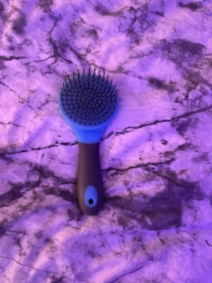 Blå och grå man och svansborste - man och svansborste i färgen blå och grå