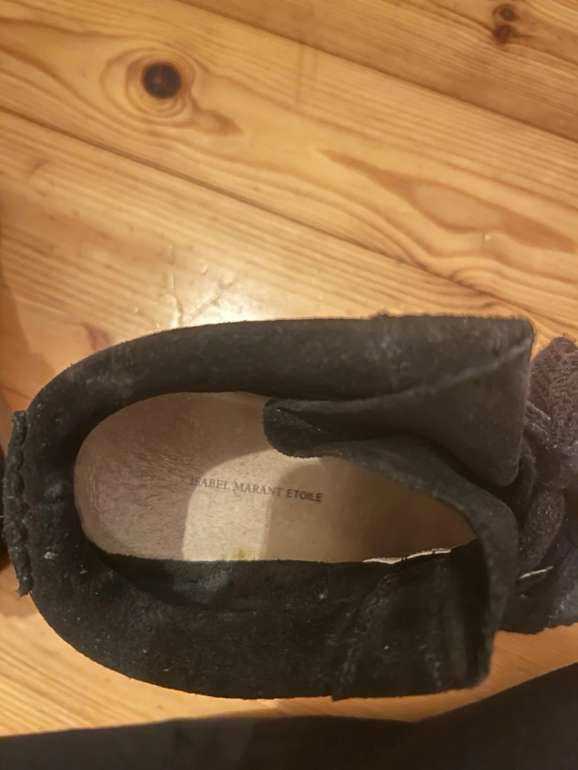 Svarta Isabel marants - 3