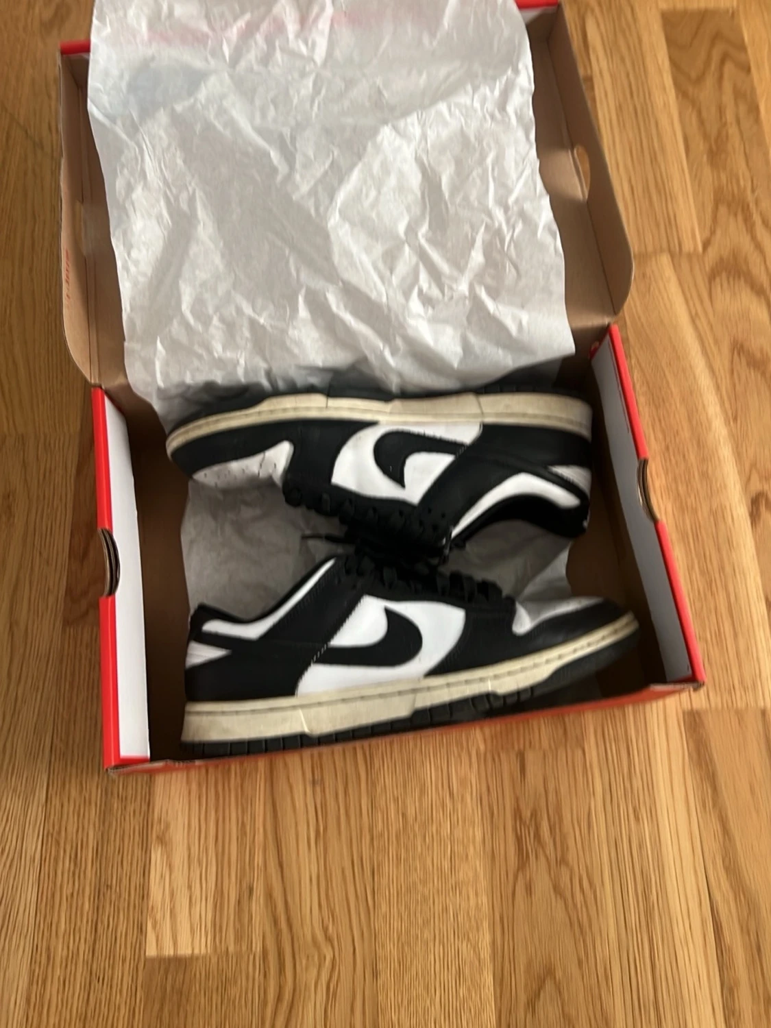 Nike Dunks - 3