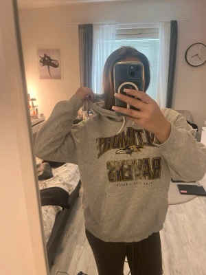 Grå hoodie med text - Säljer en grå hoodie med tryck från Baltimore Ravens. Trycket är i lila och gult med lagets logga på bröstet. I storlek S. Brukade använda hyfsat mycket men inte så mycket längre💗