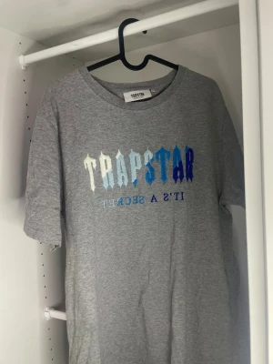 Trapstar t-shirt - Säljer en grå t-shirt från Trapstar med ett stort tryck i olika blå toner och texten 'IT'S A SECRET' på framsidan. T-shirten har rund halsringning och korta ärmar. Perfekt för dig som gillar streetwear och vill sticka ut. STÅR XL MEN PASSAR L!!!