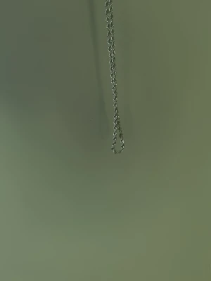 Tunt silverfärgat halsband - Säljer ett stilrent och tunt halsband i silverfärg med tvinnad kedja. Perfekt för dig som gillar minimalistiska smycken och vill ha något enkelt men snyggt runt halsen. Inget hänge, bara kedjan.