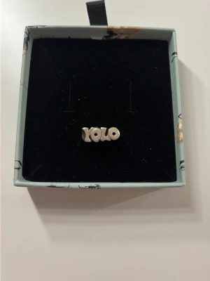 Silverfärgad YOLO-ring - Säljer en silverfärgad ring med texten 'YOLO' i tydliga bokstäver. Köpt på Lina Friberg. Säljer pågrund av att den är för liten. Väldigt dyr och fin ring. Jag köpte den för 1200