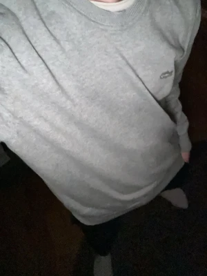 Grå crewneck från Champion - Säljer en stilren grå crewneck från Champion med diskret logga broderad på bröstet. Tröjan har rund halsringning, långa ärmar och ribbade muddar vid ärmslut och nederkant. Perfekt basplagg till garderoben.