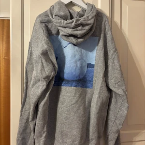 Grå hoodie Harry's House - Harry Styles Hoodie grå från konserten i Stockholm 2022. Bra skick, använd mycket då jag älskar den. Säljes enbart pga mental bagage den bär på och älskar fortfarande Harry!!