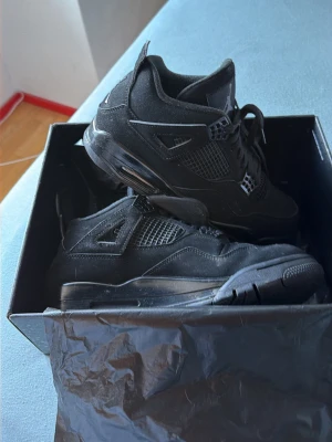 4s black cats - Jordan 4 black cat