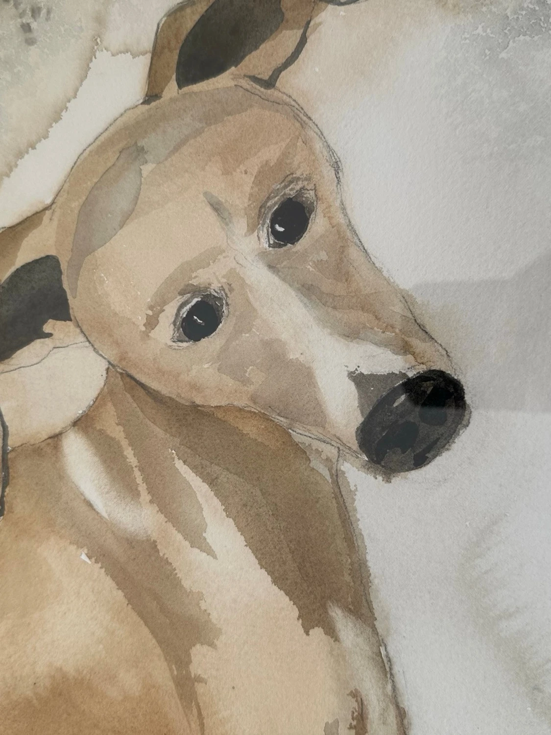 Akvarellmålning av vinthund, 83x63cm - 1