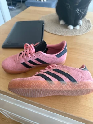 Adidas samba - Snygga Adidas sneakers i rosa mocka med klassiska svarta ränder på sidorna och gummisula i ljusbrunt. Låg modell med rosa skosnören och svart detalj vid hälen. Perfekta för dig som vill sticka ut med färg och stil. Dem är knappt använda 
