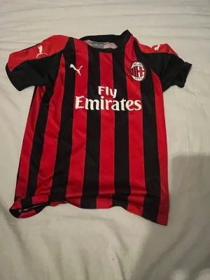 AC Milan matchtröja Puma röd/svart - Säljer en AC Milan matchtröja från Puma i klassiska röda och svarta vertikala ränder. Tröjan har klubbmärke på bröstet, Puma-logga och Fly Emirates-tryck framtill. Perfekt för fotbollsfans som vill visa sitt stöd på planen eller läktaren.