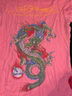 Ed hardy t-shirt - En fin ed hardy t-shirt som säljs. Går riktigt fint med att styla osv. Storlek L