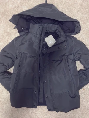 Svart pufferjacka från Canada Goose - Säljer en svart pufferjacka från Canada Goose med avtagbar huva och diskret logomärke på ärmen. Jackan har dragkedja och tryckknappar framtill samt två stora fickor. Perfekt för kalla vinterdagar och riktigt snygg streetstil.