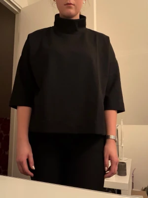 Svart topp med hög krage - Säljer en svart topp med hög krage och trekvartsärmar. Modellen är boxig och har en minimalistisk look, perfekt för dig som gillar stilrena plagg. Materialet känns mjukt och bekvämt, och toppen har en modern, avslappnad passform.