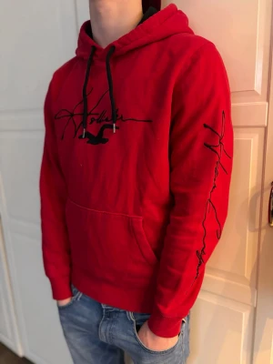 Hollister hoddie - Hollister hoddie, skick: 9/10, pris: 299. Kom dm vid frågor✅