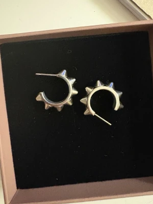 Edblad örhängen  - Super coola örhängen från Edblad med nitar💕