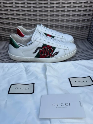 Gucci Ace sneakers med orm - Gucci Ace Snake || Storlek EU 41 UK 7 || Skorna är i  bra skick (se bilder) || Allt på bilderna medföljer vid köp || Tveka inte på att höra av dig vid frågor eller funderingar 