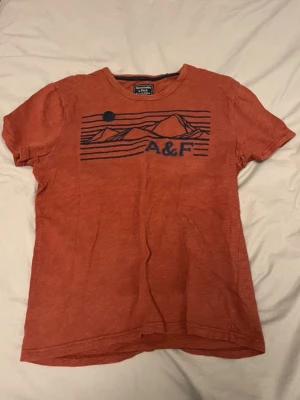 Abercrombie & Fitch T-shirt  - Mycket bra skick