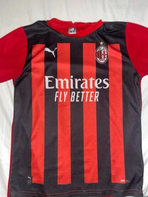 AC Milan matchtröja Puma röd/svart - Snygg AC Milan matchtröja från Puma i rött och svart med klassiska vertikala ränder. Tröjan har klubbmärke, Puma-logga och Emirates Fly Better-tryck på bröstet. Tillverkad i funktionsmaterial DryCell som andas, perfekt för fotbollsträning.
