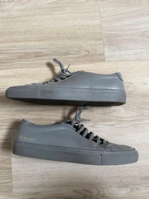 Gråa Common Projects sneakers - Snygga gråa sneakers från Common Projects med minimalistisk design och guldfärgad numrering på sidan. Grått läder, Bra skick! Ny pris ca 3500kr