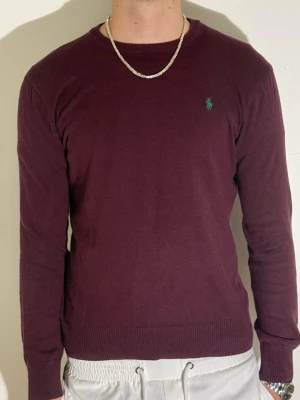 Polo Ralph Lauren  - Snygg Polo Ralph Lauren sweatshirt. Storlek XL men killen på bilden har vanligtvis M så jag skulle säga att den passar bäst M