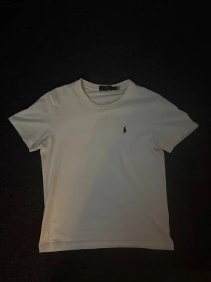Polo Ralph Lauren T shirt Vit - Plagg:Polo Ralph Lauren T shirt Storlek:S Nypris:1199 Mitt pris:349 Skick:10/10 bara testad Märke/Brand:Polo Ralph Lauren Färg:Vit/Svart Logga Material:100% Bomull Passform:S men passar XS också Användning:Bara testad Övrigt:Säljer pågrund av att jag klippte av prislappen och därmed kan jag inte lämna tillbaka tröjan men den är bara testad  Priset är inte hugget i sten🪨🪓 Fraktar Inom 24 h📦 Skriv Vid Minsta Lilla Intresse😃