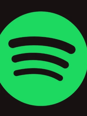 12 Månader Spotify Premium (Billigt) - Köp - skicka inlogg i chatten - jag gör jobbet - du får dina 12 månader - klar (byt lösenord sen om det behövs.