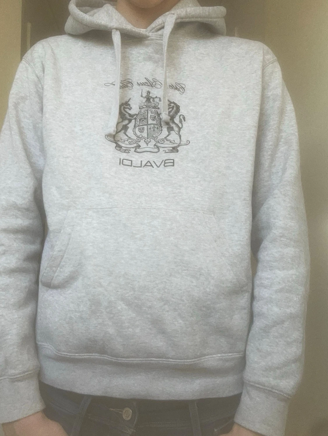 Bvaldi hoodie - 1
